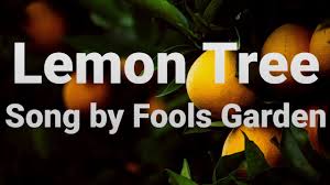 fool s garden lemon tree s you