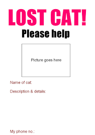Select your missing poster template. Lost Cat Poster Poc