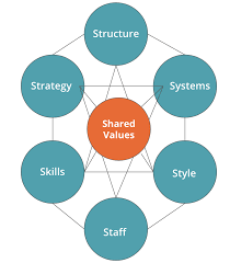 mckinsey 7s model overview structure