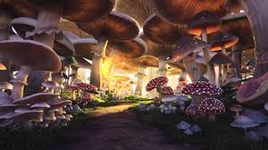 Fantasy glowing mushrooms in mystery dark forest. Mushroom Forest Youtube