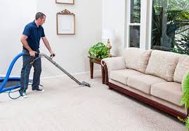 carpet cleaning company michigan 1st