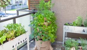 Tips For Gardening In Small Apartments