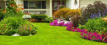Идеи за двора и градината. Idei Za Doma I Gradinata Reviews Facebook
