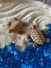 Sea Turtle Miniature Fairy Garden