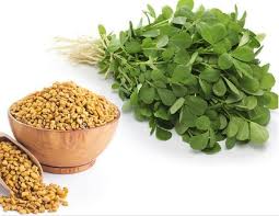 Buy these seeds to add extra depth to your curries and chutneys. Review About Fenugreek Thailand Medical News
