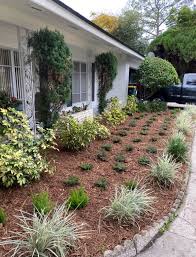 Top 5 Front Yard Modern Landscaping