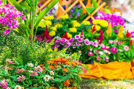 Какви особености имат цветята, които отглеждаме в градината? Gradinski Cvetya Spisk Ot Zaglaviya S Opisaniya I Snimki Dom I Gradina