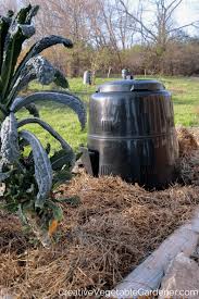 Compost For Your Vegetable Garden