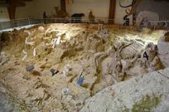 The Mammoth Site de Hot Springs | Horario, Mapa y entradas 3