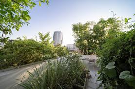 Ten Lush Rooftop Gardens That Serve As