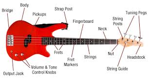 This guitar diagram of an acoustic guitar shows it's main composite parts. Bass Guitar The Music Partnership