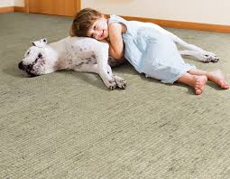 peabody pure natural wool carpets