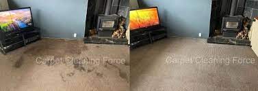 carpet cleaning west auckland