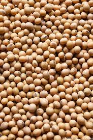 what is soybean taste of nusa