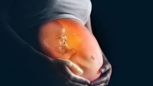 El Estado destina 32 millones de euros en ayudas al aborto y 3,3 al embarazo
