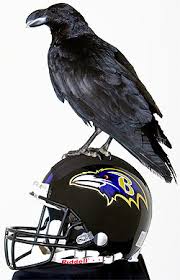 Image result for raven mascot
