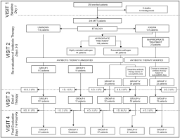 Study Overview Flow Chart Representing The Patient Flow