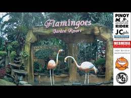 flamingoes garden resort marikina city
