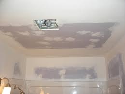 Black Mold Removal And Prevention In