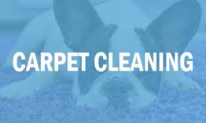 carpet cleaning services in niceville