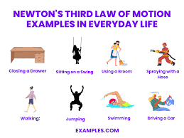 newton s third law of motion 20