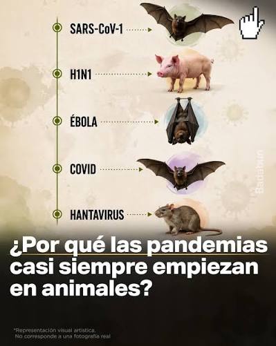 LAS 5 ENFERMEDADES MÁS COMUNES TRASMITIDAS POR ANIMALES La salud humana, animal y ambiental están más conectadas de lo que imaginamos. Muchas enfermedades infecciosas pueden transmitirse desde animales o vectores hacia las