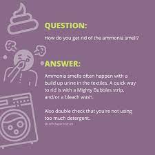 how do you get rid of ammonia smell in