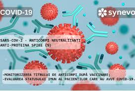 Synevo Moldova - ?Anticorpii neutralizanți anti-proteina spike(S), sunt  cei care impiedică atașarea virusului SARS-CoV-2 de celulele umane. ☝️Odată  formați anticorpii, organismul este pregătit să lupte cu infecția COVID-19  atunci când intră in