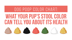 use our healthy dog chart to