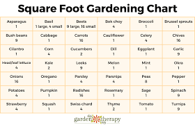 Easy Square Foot Gardening For A High
