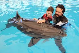 dolphin therapy in antalya turkey