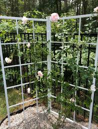 Classic Metal Garden Trellis Single