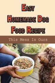 easy homemade dog food recipe this