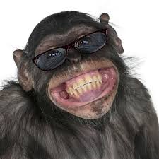 smiling monkey images