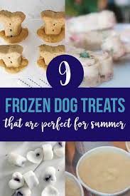 homemade frozen dog treat recipes
