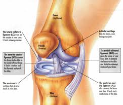 acl injuries can be prevented treated