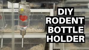 diy rodent water bottle holder