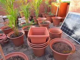Plastic Garden Pots Pots Garden