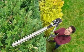 How To Trim Hedges And Bushes Tips And