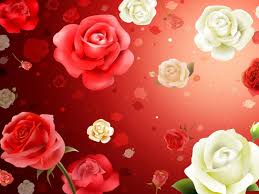 86 beautiful rose hd wallpapers