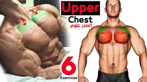 best 6 exercises upper chest workout