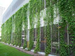Vertical Garden Green Wall Design