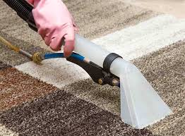 professional rug cleaning cost in 2024