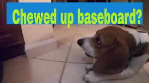 How to Fix a Baseboard That A Puppy Chewed Up --- Fast and Cheap!! - YouTube