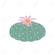 Agitation can quickly turn to panic for people who have taken hallucinogens, which can. Peyote Cactus Plant With Flower Mescaline Boho Psychedelic Icon Royalty Free Cliparts Vectors And Stock Illustration Image 102997879