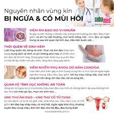 Vùng Kín Bị Ngứa - Cách Điều Trị Hiệu Qủa - Sebamed