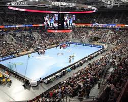 german handball bundesliga in figures