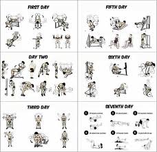 Gym Workout Program For Beginners Gym Workout For