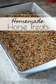 horse treats homemade horse treats
