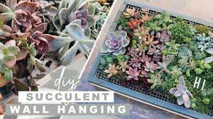 diy succulent wall planter easy